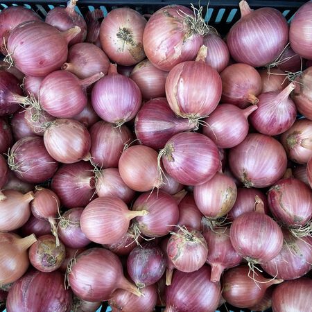 Blush, Onion Seeds - Packet image number null
